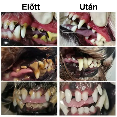 🐶🐱[🇭🇺 Hivatalos Áruház] Healrize® Állati Fogászati és Emésztési Egészséget Támogató Orális Folyadék – Friss lehelet, fogkő eltávolítása és ínyregeneráció támogatása, a fogak stabilizálása (macskáknak és kutyáknak) – Ma 70% kedvezmény!