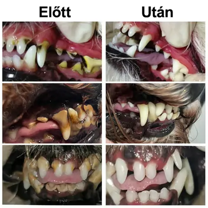 🐶🐱[🇭🇺 Hivatalos Áruház] Healrize® Állati Fogászati és Emésztési Egészséget Támogató Orális Folyadék – Friss lehelet, fogkő eltávolítása és ínyregeneráció támogatása, a fogak stabilizálása (macskáknak és kutyáknak) – Ma 70% kedvezmény!