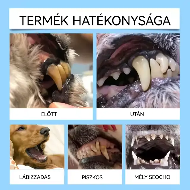 🐶🐱[🇭🇺 Hivatalos Áruház] Healrize® Állati Fogászati és Emésztési Egészséget Támogató Orális Folyadék – Friss lehelet, fogkő eltávolítása és ínyregeneráció támogatása, a fogak stabilizálása (macskáknak és kutyáknak) – Ma 70% kedvezmény!
