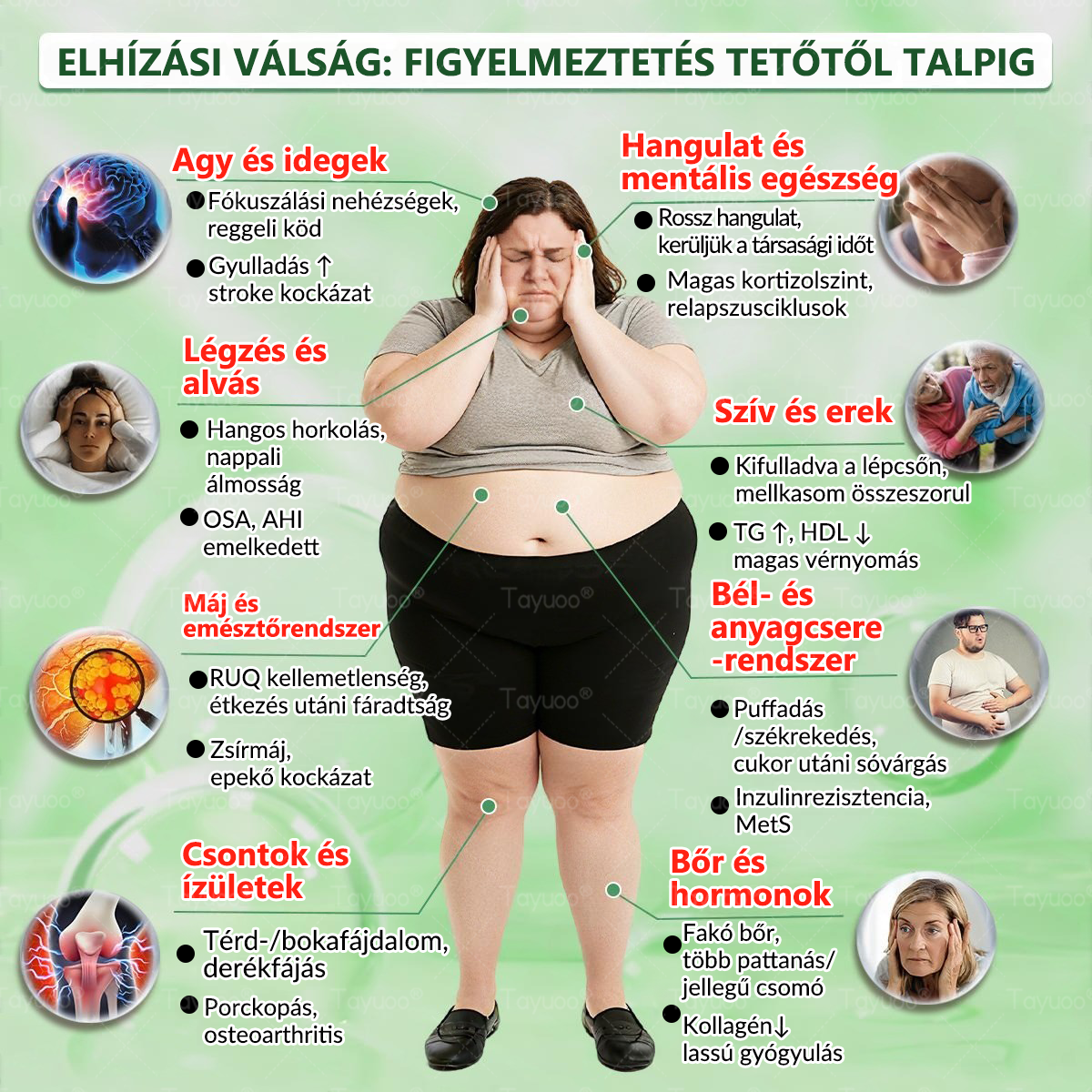 Hivatalos Webáruház | ✨✨ 𝐓𝙖𝙮𝒖𝙤𝙤®  𝗠𝗼𝗿𝗶𝗻𝗴𝗮 · 𝑩𝒆𝒓𝒃𝒆𝒓𝒊𝒏𝒆 × 𝗡𝗔𝗗 𝗞𝗮𝗿𝗰𝘀ú𝘀í𝘁ó é𝙨 𝒃é𝒍𝒓𝒆𝒏𝒅𝒔𝒛𝒆𝒓𝒊 𝐞𝐠é𝐬𝐳𝐬é𝐠𝐞𝐭 𝒆𝒍ő𝒔𝒆𝒈í𝒕ő 𝙣𝙖𝙣𝙤 𝗺𝗶𝗸𝗿𝗼𝘁ű𝘀 𝒕𝒂𝒑𝒂𝒔𝒛 🇭🇺  (Naponta csak egyszer — az első látható változások már 7 nap után) ✅  Átfogó támogatás az alakformáláshoz